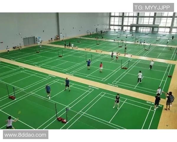 西安羽毛球队逆袭之路探索全新训练与战术革新策略