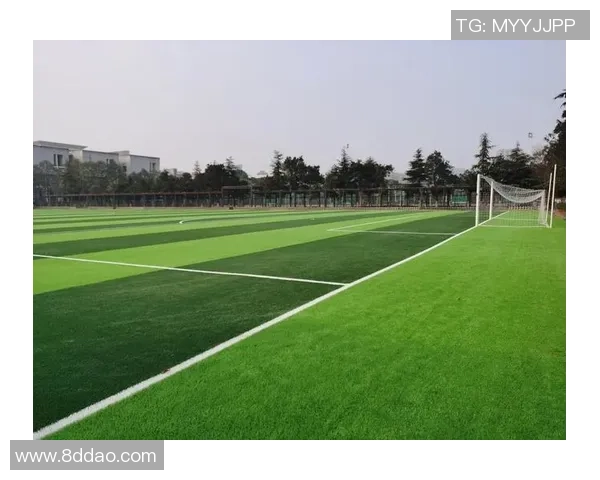 足球场地租用指南如何选择合适的场地和租用方式提升比赛体验