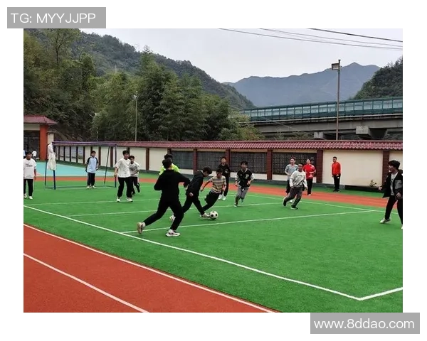 种子足球助力青少年成长培养未来足球明星的希望之路