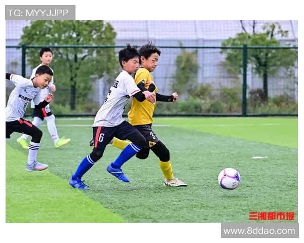 环鹰足球：探索足球文化与青少年成长的完美结合之路